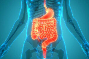 Combattre les infections intestinales pour pr�venir la maladie de Crohn