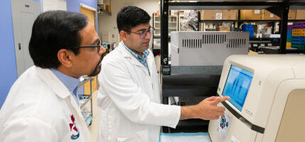 Une recherche interdisciplinaire remet en question une croyance de longue date sur la fonction des spermatozoïdes