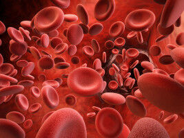 Platelets play a key role in rheumatoid arthritis