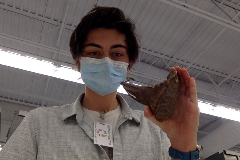 Paleontology - Earth Sciences