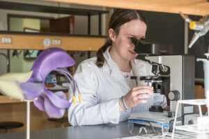 Valorisation de la recherche: au-del� de la commercialisation