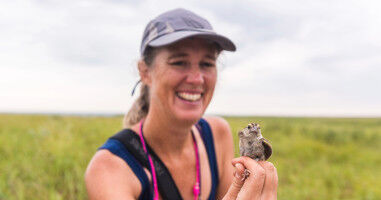 Rainfall shapes bird populations
