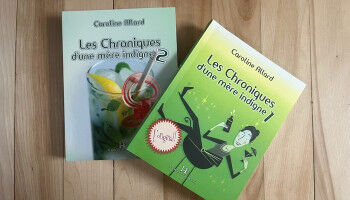 Les blogues, creuset d'une litt�rature qu�b�coise num�rique