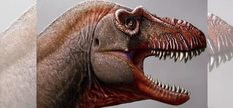 Paleontology - Earth Sciences