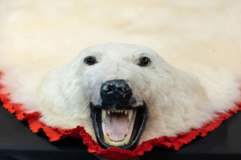 Environment - History & Archeology