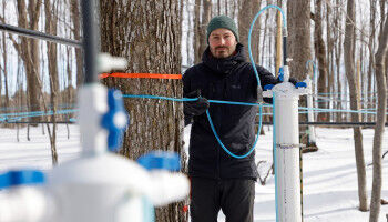 Environnement - Une érablière-école pour innover en acériculture au Québec - ULAVAL Une érablière-école pour innover en acériculture au Québec